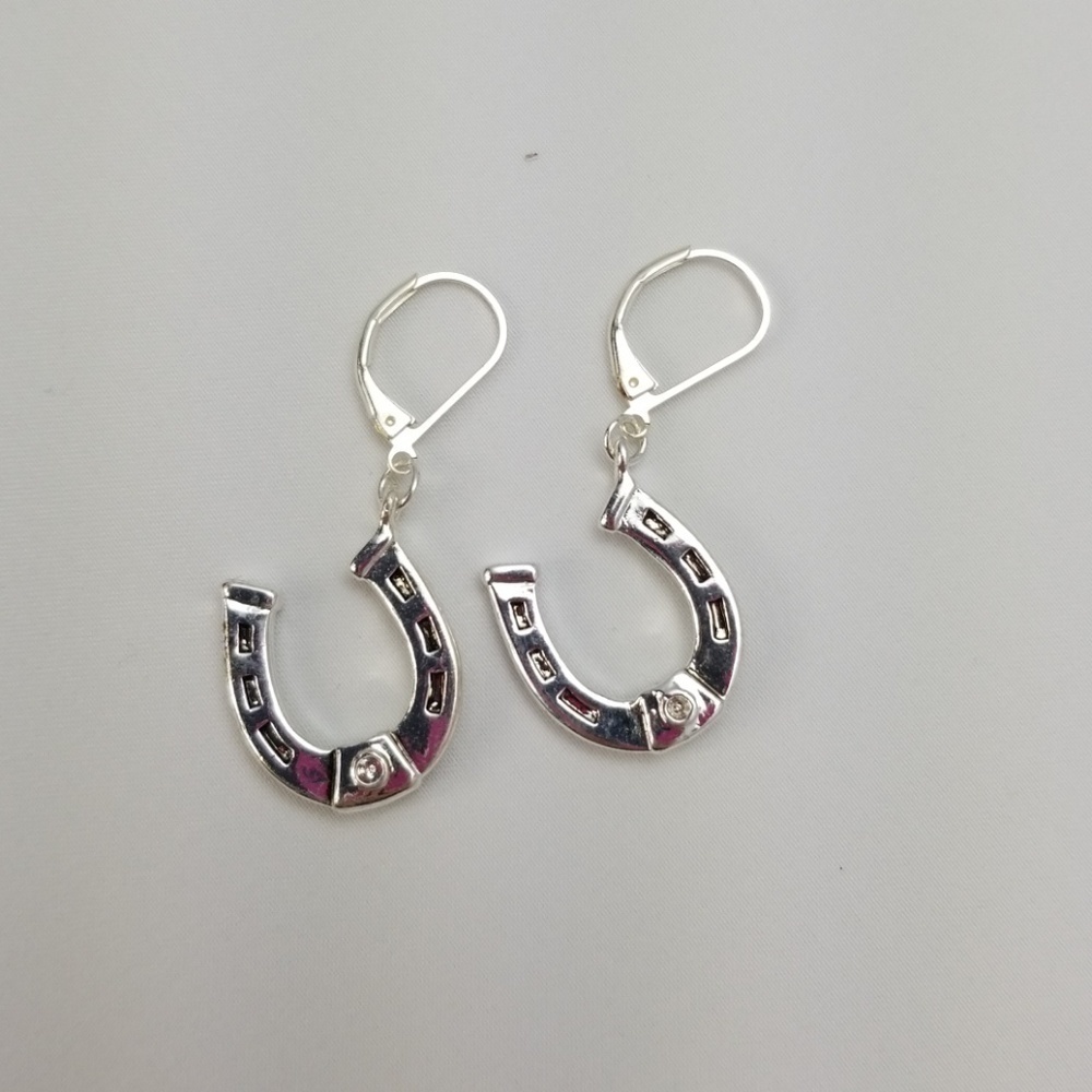 Horseshoe earrings